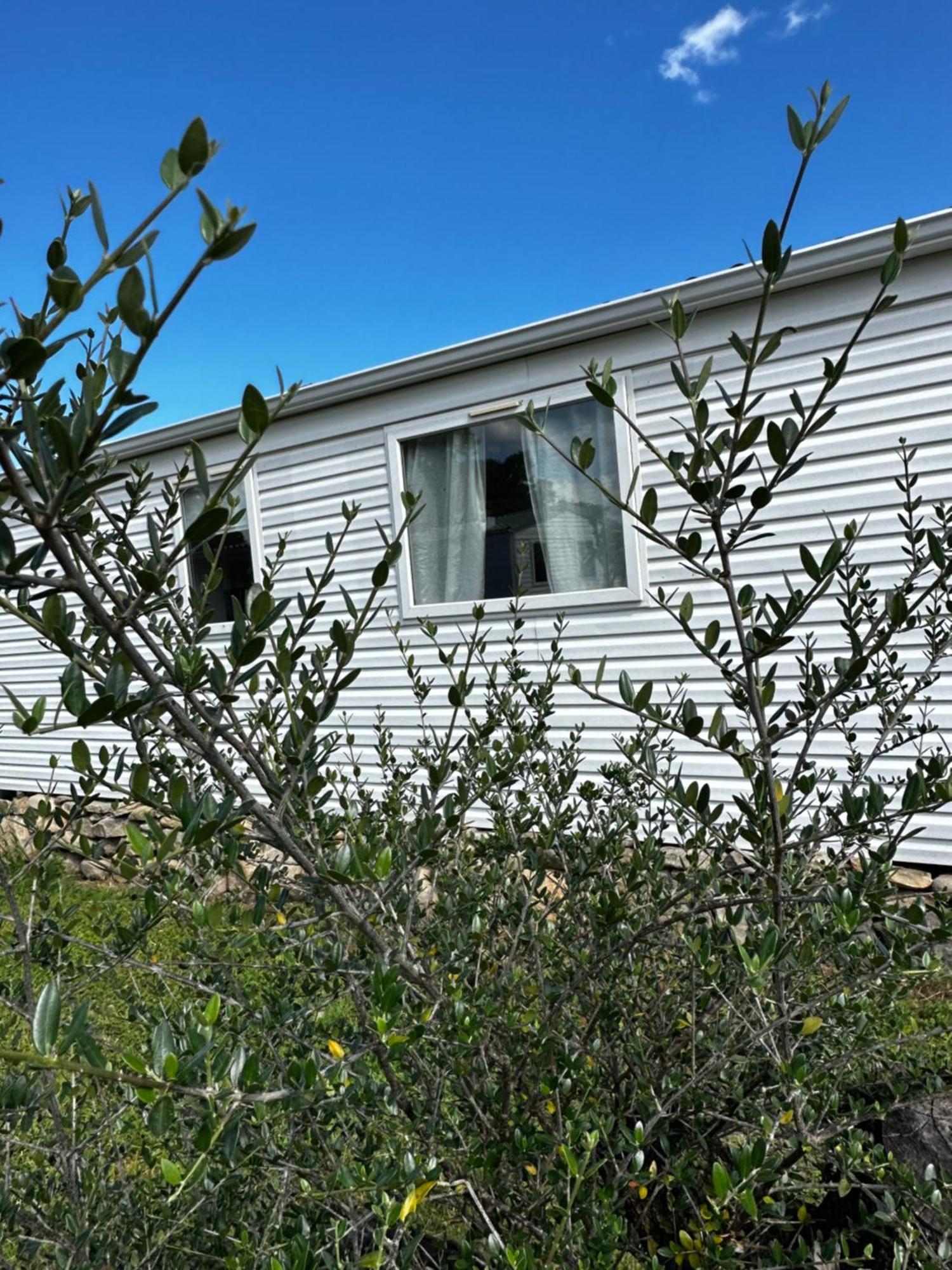 Les Bungalows De Lisa Maria Serra-di-Fiumorbo Exterior photo