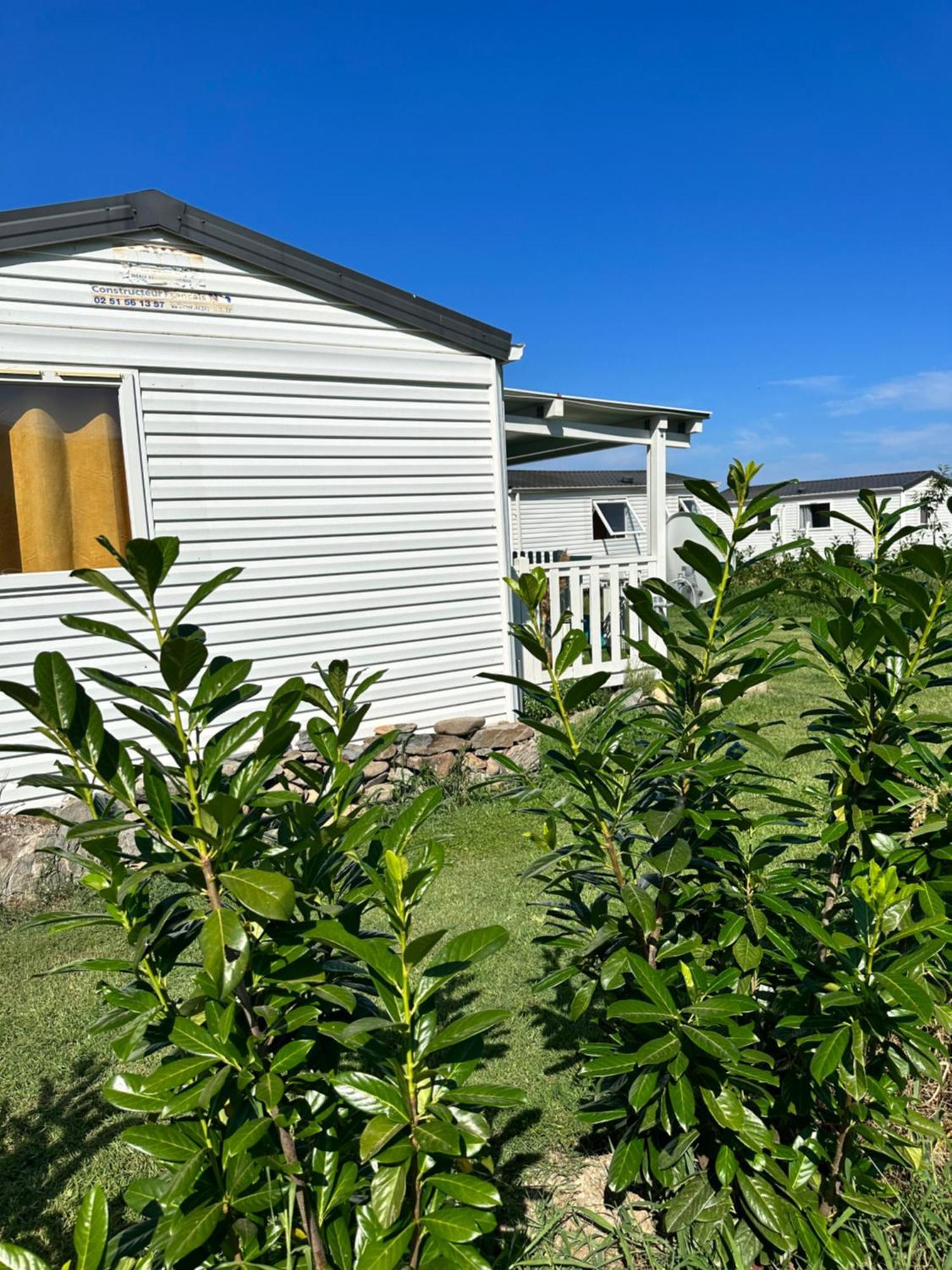 Les Bungalows De Lisa Maria Serra-di-Fiumorbo Exterior photo
